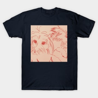 Maltipoo Drawing Sketch T-Shirt